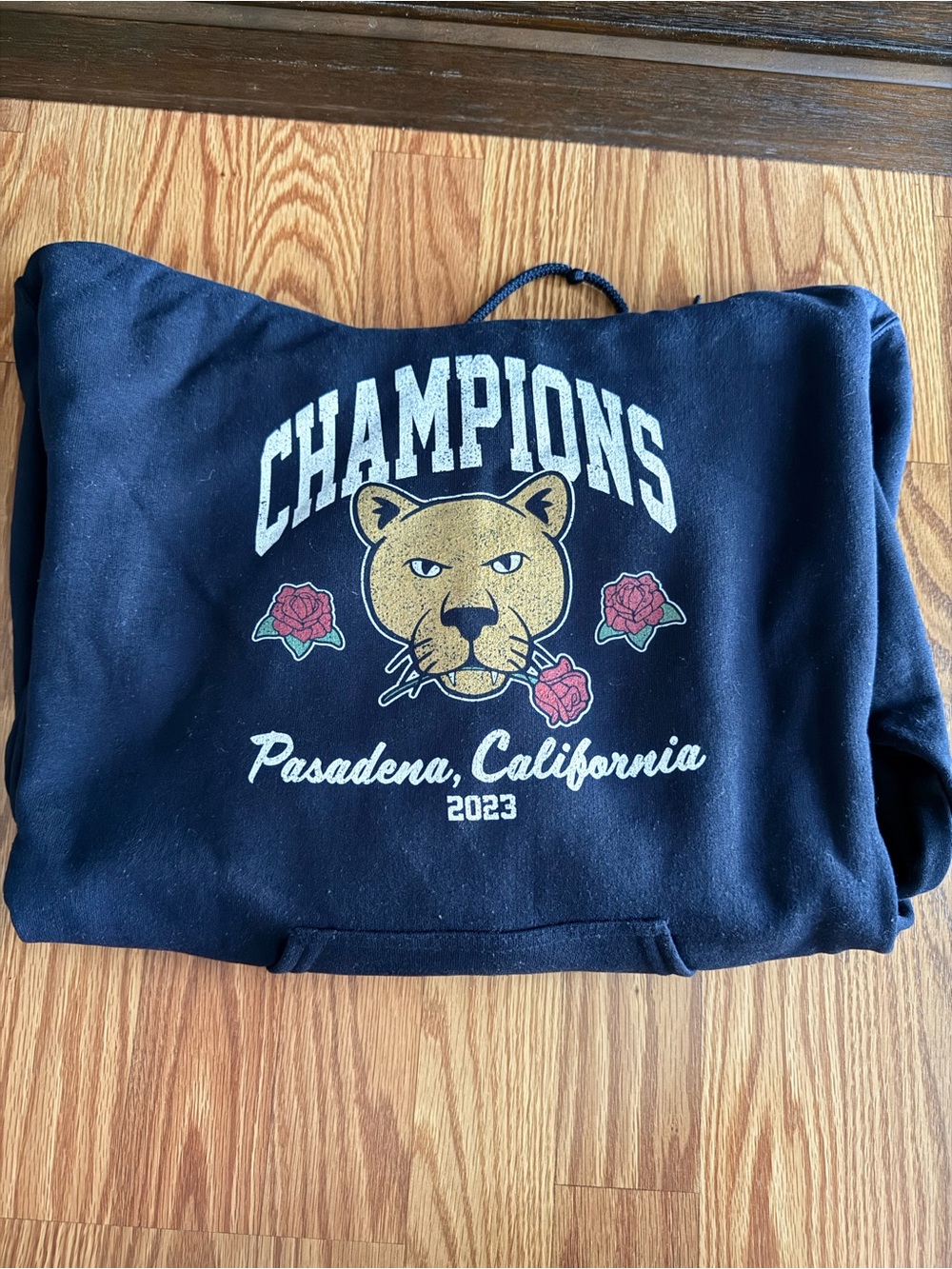 Bar Stool PSU Unisex Champions Pasadena California 2023 Graphic Hoodie - Navy